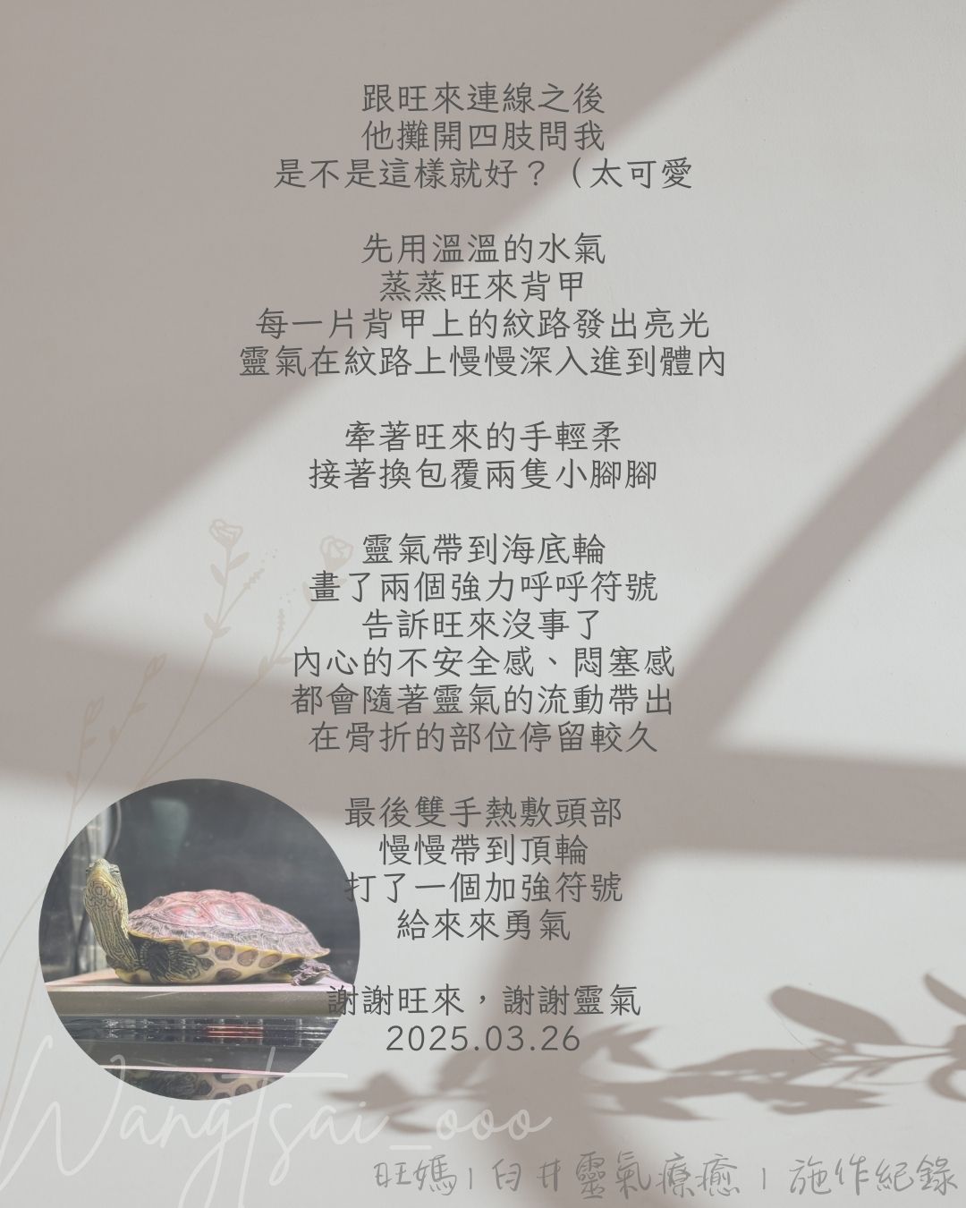 靈氣療癒紀錄 2 Usui Reiki Record 2