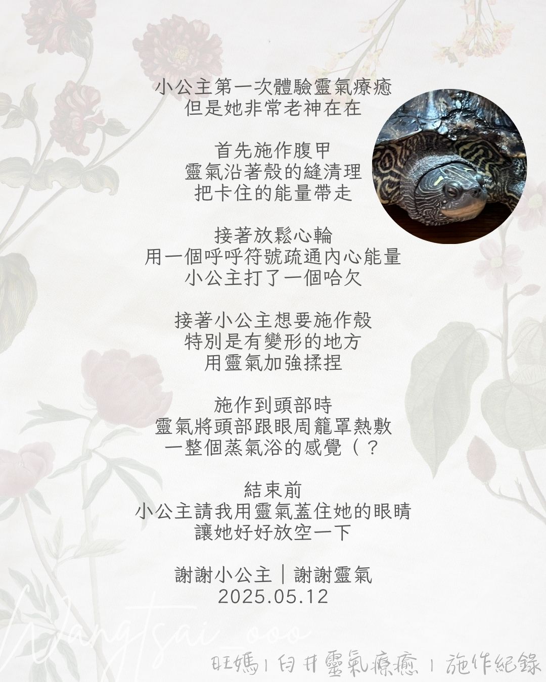 靈氣療癒紀錄 4 Usui Reiki Record 4