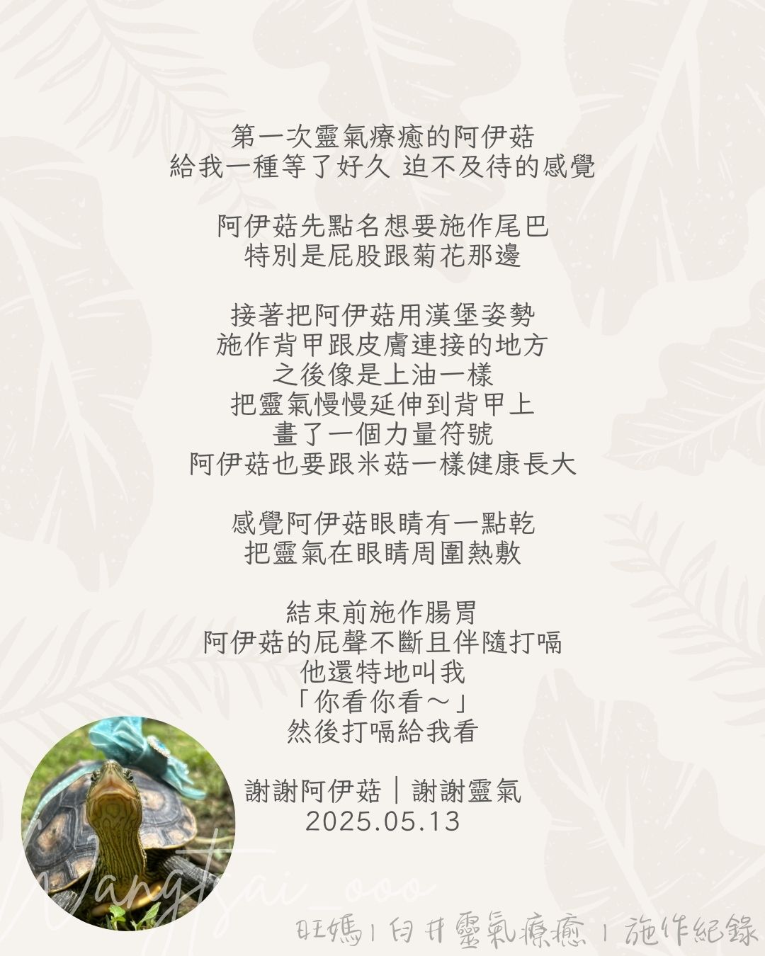 靈氣療癒紀錄 6 Usui Reiki Record 6