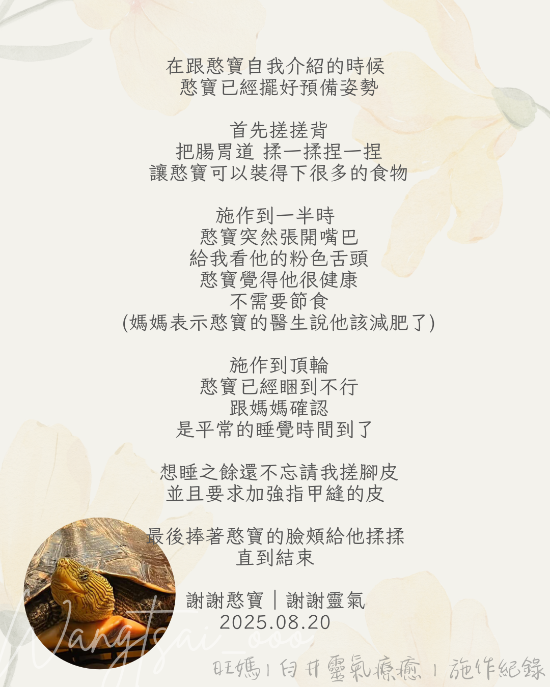 靈氣療癒紀錄 9 Usui Reiki Record 7